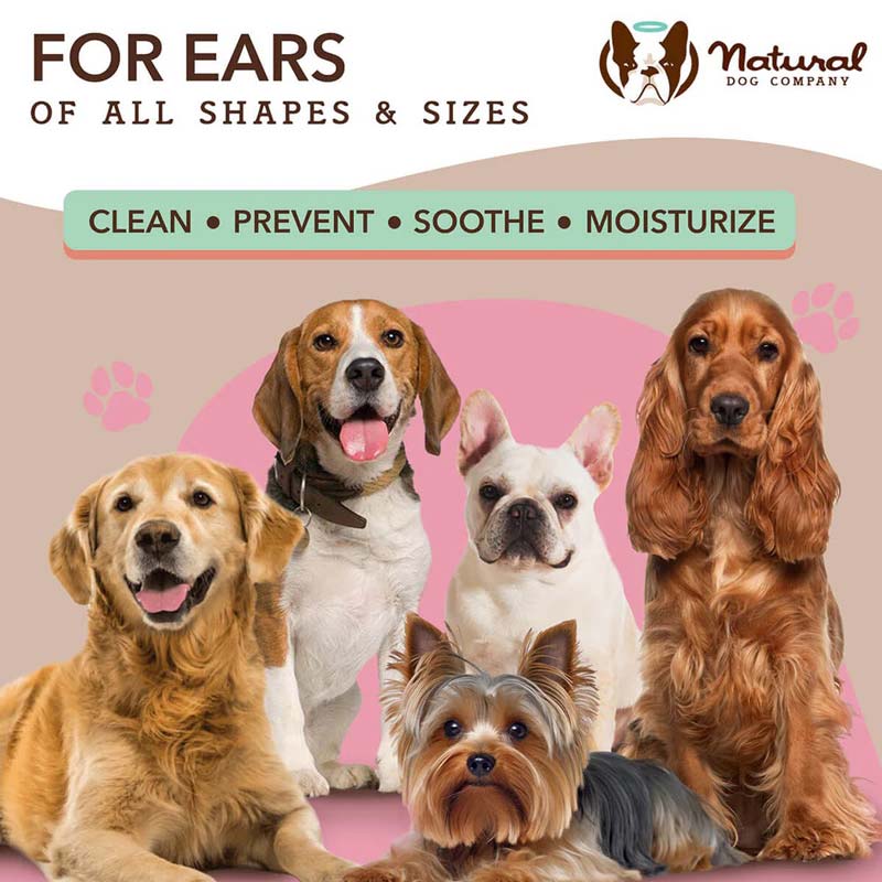 Natural Dog Company Ear Wipes | Rosemary Oil, Calendula Oil, Cinnamon Leaf Oil - CreatureLand