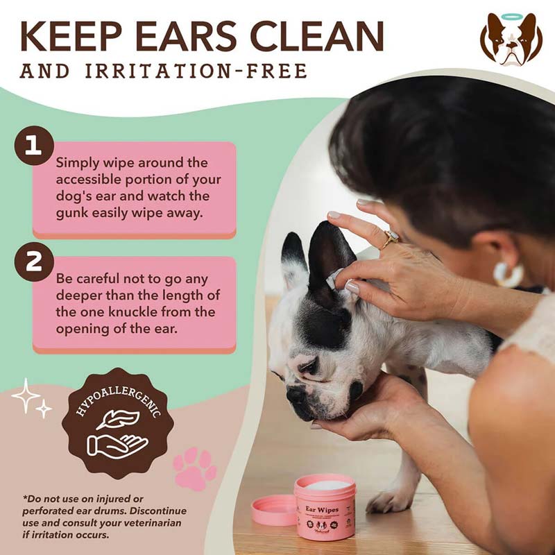 Natural Dog Company Ear Wipes | Rosemary Oil, Calendula Oil, Cinnamon Leaf Oil - CreatureLand