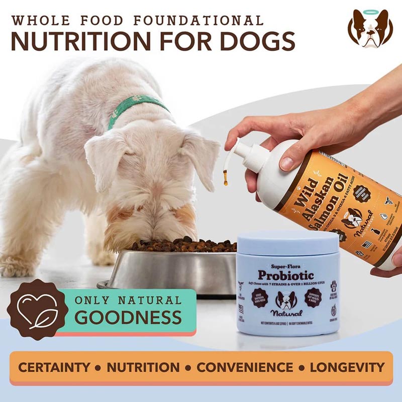 Natural Dog Company Super - Flora Probiotic Supplement - CreatureLand