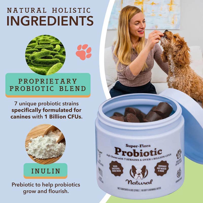 Natural Dog Company Super - Flora Probiotic Supplement - CreatureLand