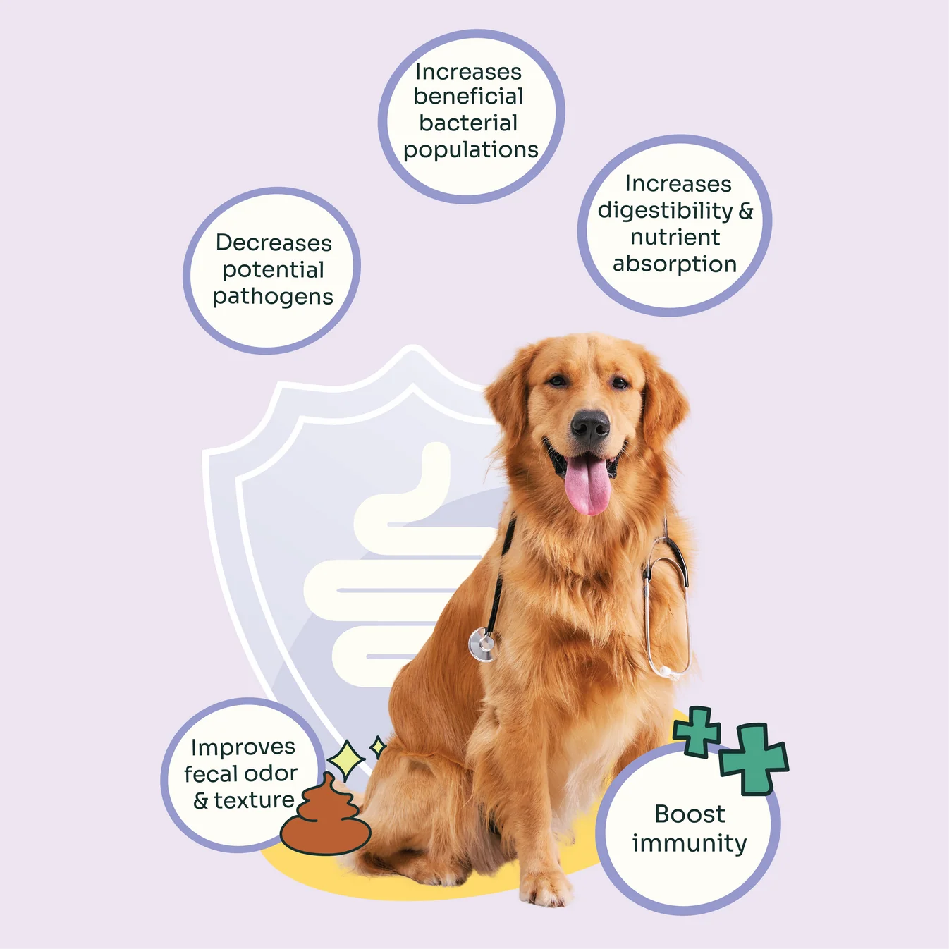 Notti Allergy Care Slow-Baked Fresh Duck & Salmon Dog Dry Food