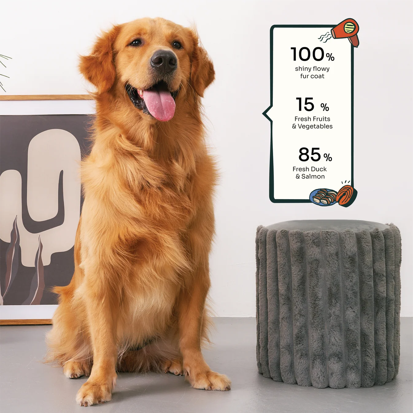 Notti Allergy Care Slow-Baked Fresh Duck & Salmon Dog Dry Food