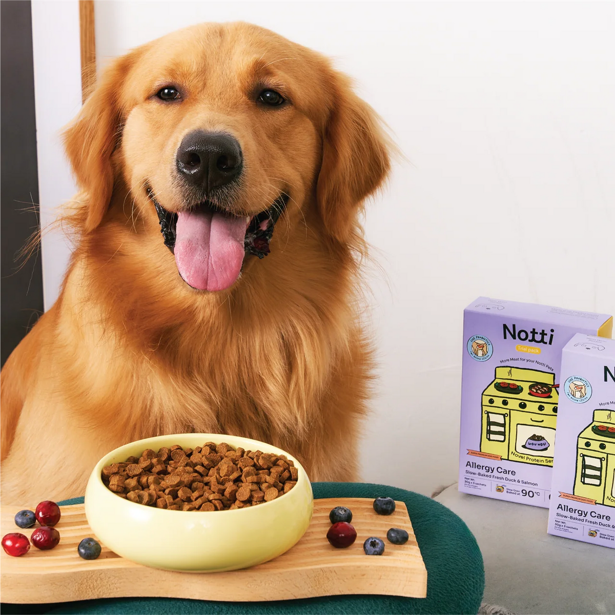 Notti Allergy Care Slow-Baked Fresh Duck & Salmon Dog Dry Food