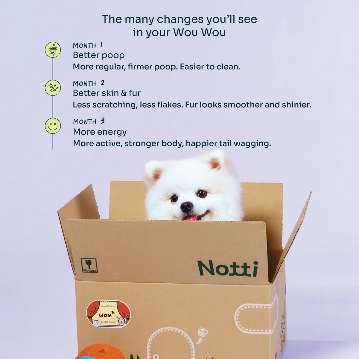 Notti Slow-baked Fresh Chicken & Duck Dog Dry Food (Super Premium)