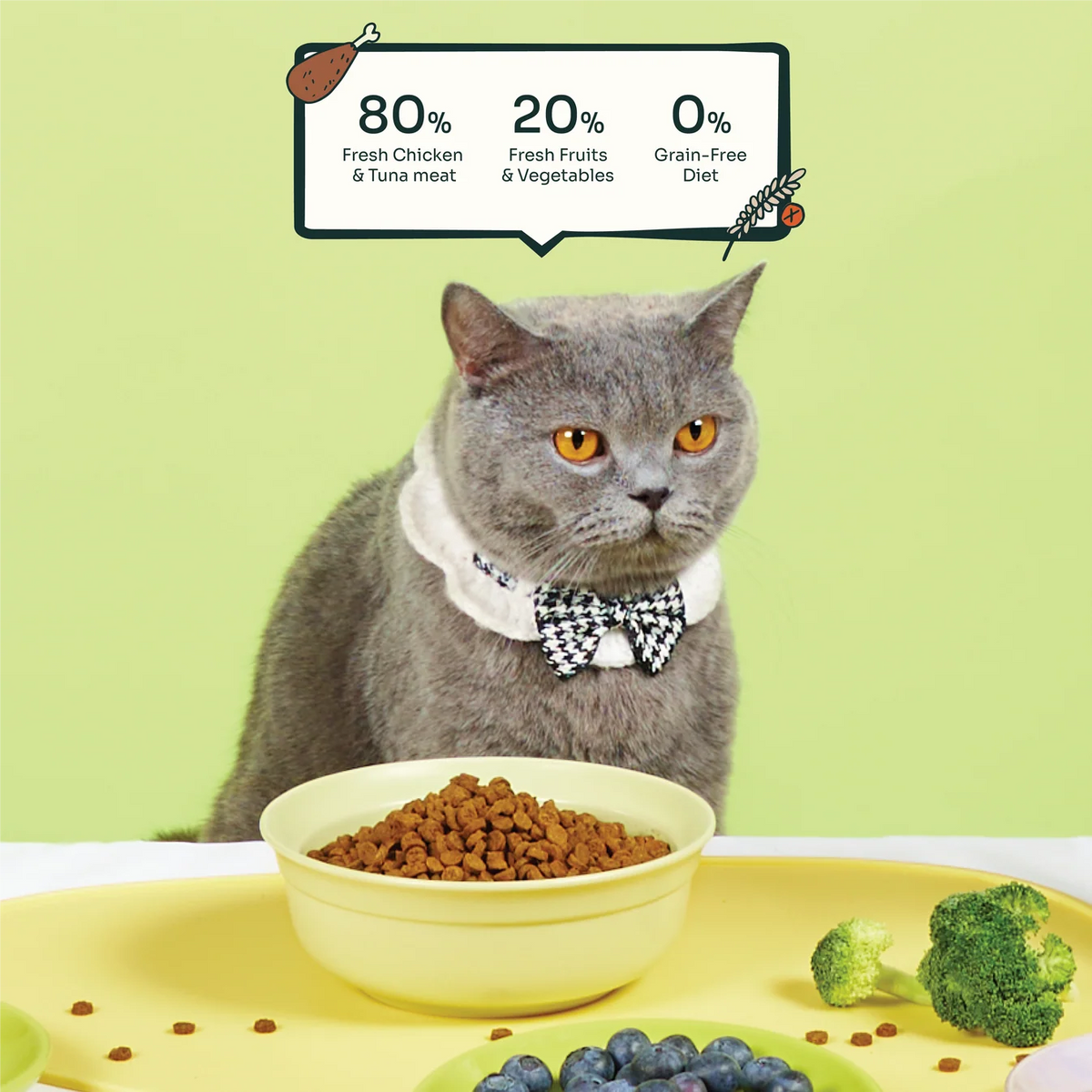 Notti Slow-Baked Grain-Free Fresh Chicken & Tuna Cat Dry Food