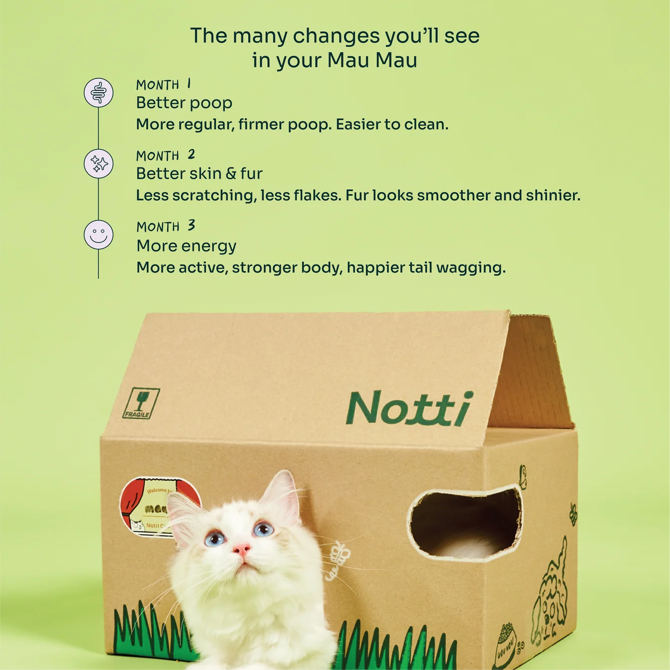 Notti Slow-Baked Grain-Free Fresh Chicken & Tuna Cat Dry Food