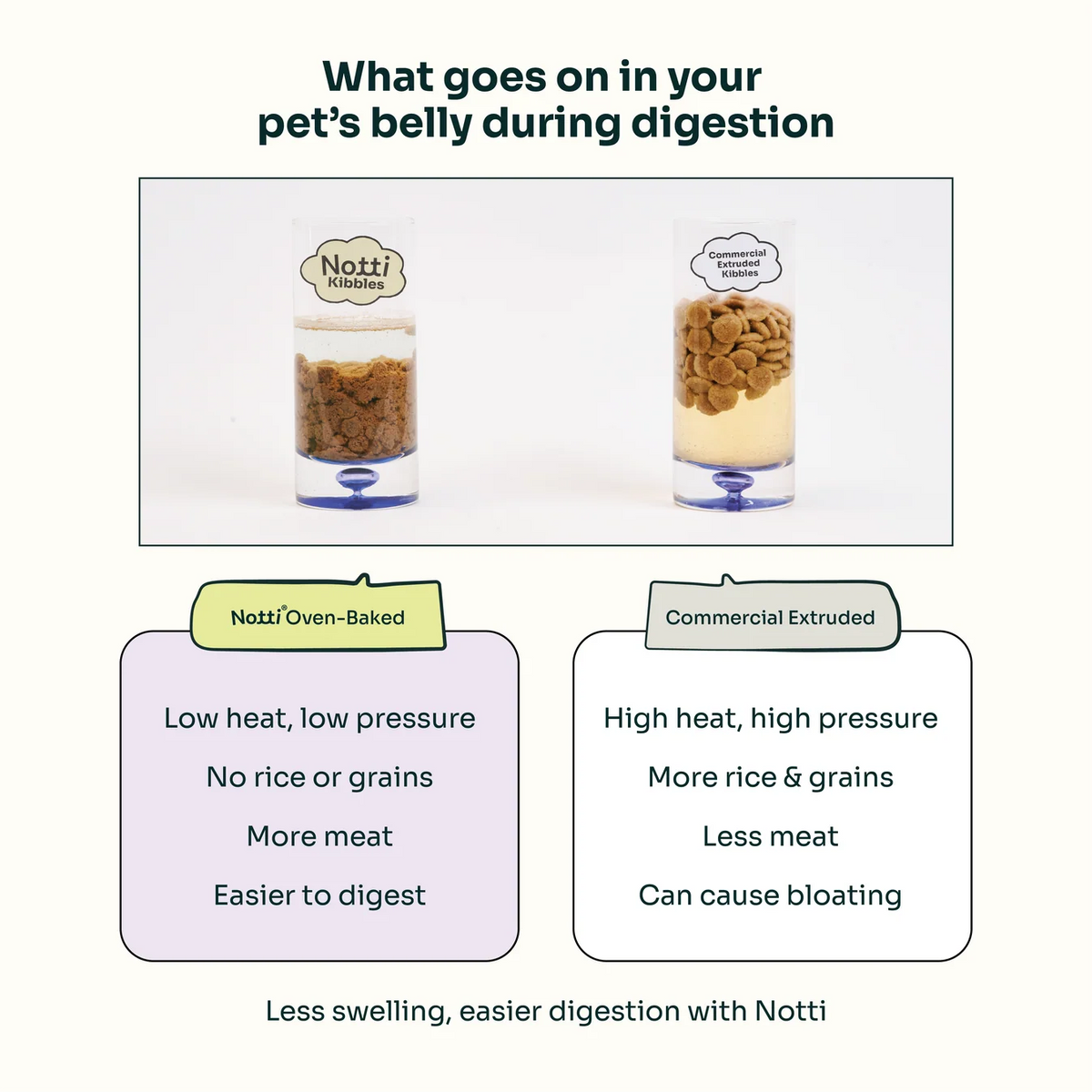 Notti Slow-Baked Grain-Free Fresh Chicken & Tuna Cat Dry Food