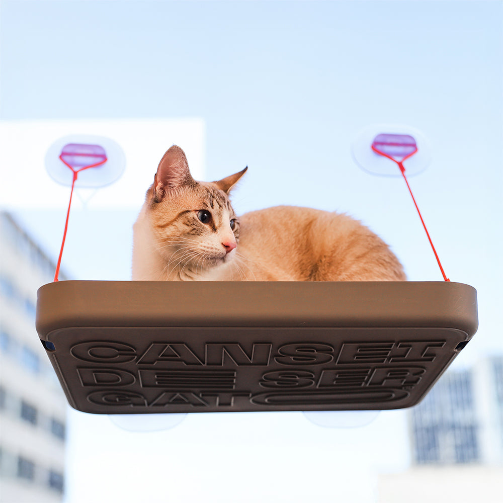 CDSG x Zee.Cat - Sky.Bed Cat Window Hammock