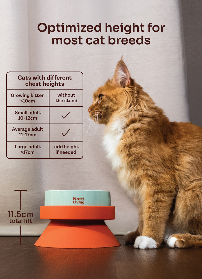 Notti Living 001 Ceramic Pet Food Bowl