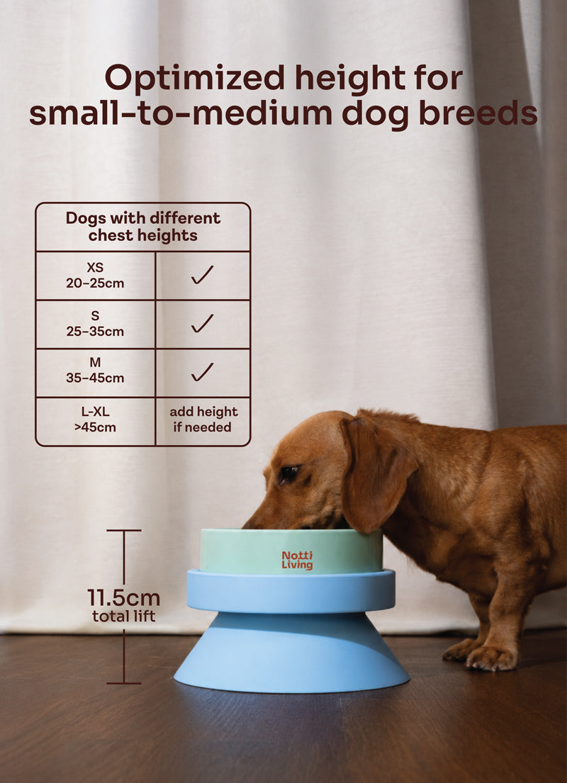 Notti Living 001 Mealtime Feeder Set