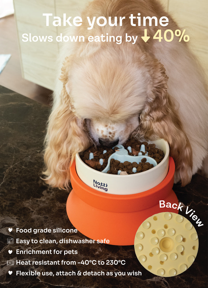 Notti Living 001 Ceramic Pet Food Bowl