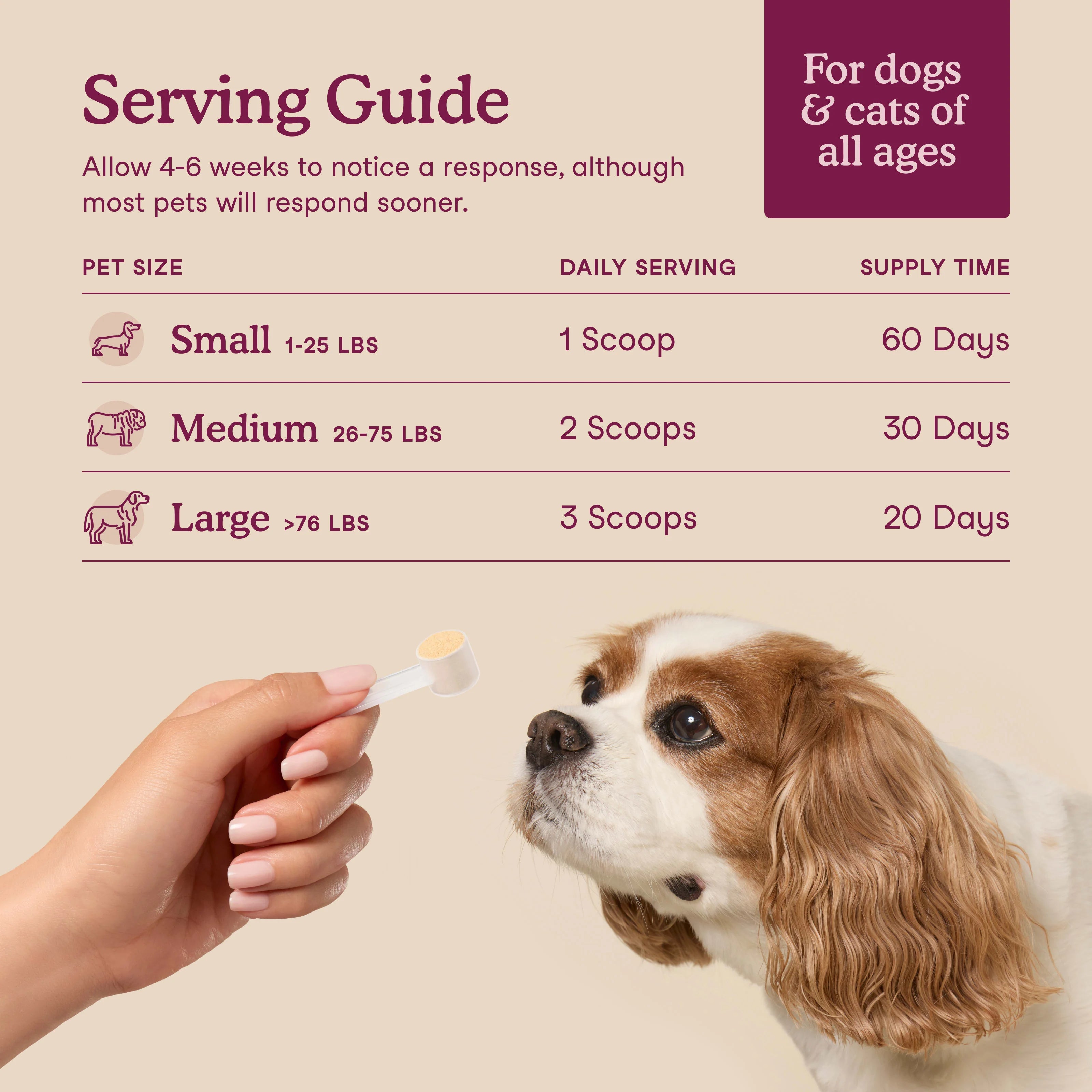 Bladder Support for Dogs and Cats