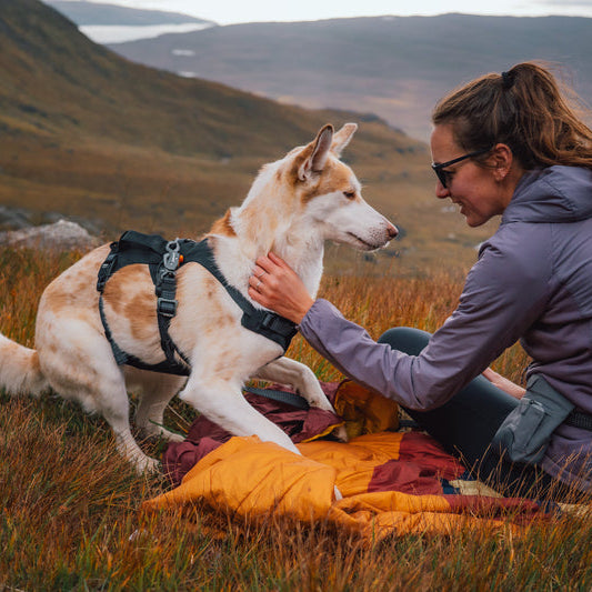 Ridgeline™ Reflective Harness with Magnetic Buckles | Obsidian Black