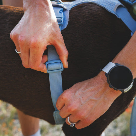 Front Range® Flex No-Pull Dog Knit Harness (4 Colours)