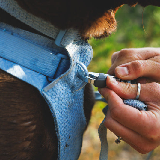 Front Range® Flex No-Pull Dog Knit Harness (4 Colours)