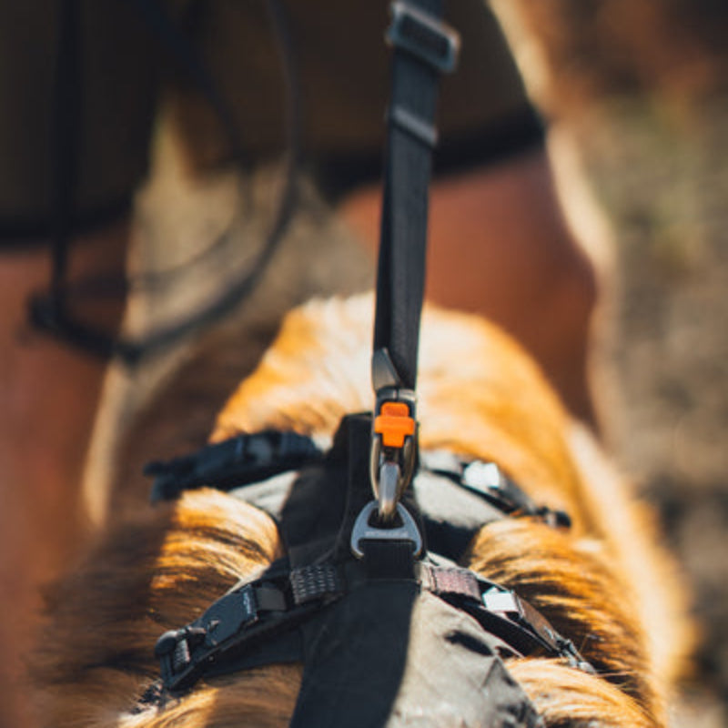 Ridgeline™ Reflective Hands-Free Dog Leash with Auto-Locking Clip | Obsidian Black