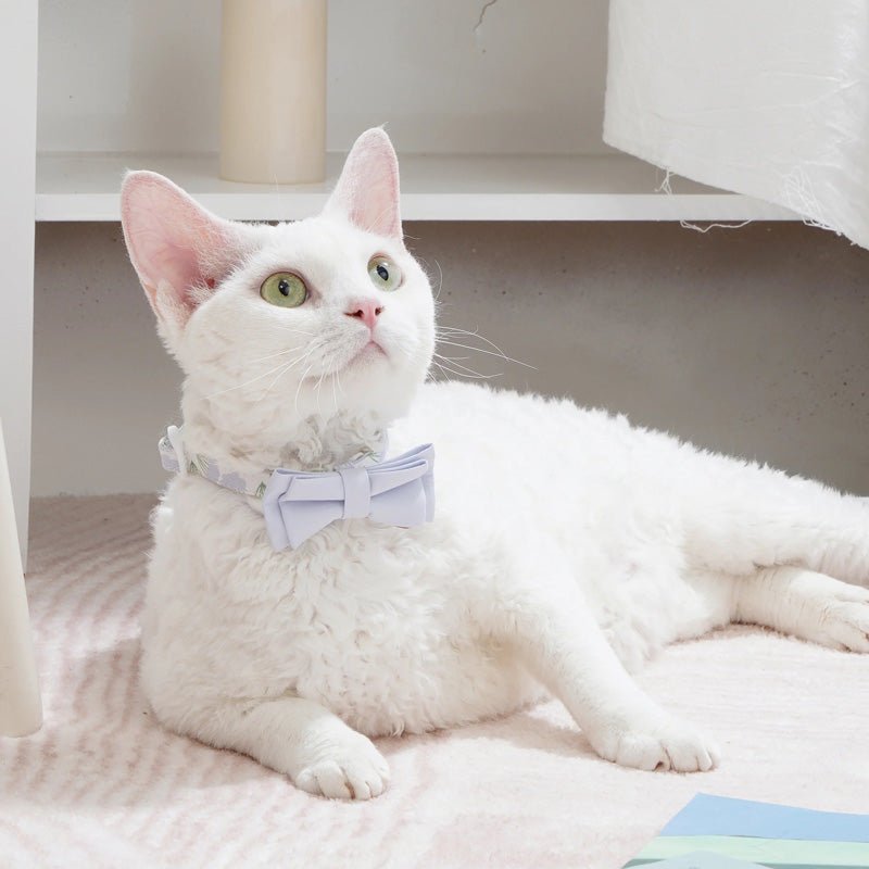 Paws Holic Graphic Cat Collar -Dandelion - CreatureLand
