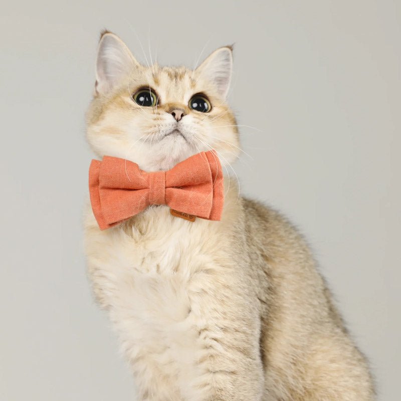 Paws Holic Graphic Cat Collar - Happy Pear - CreatureLand