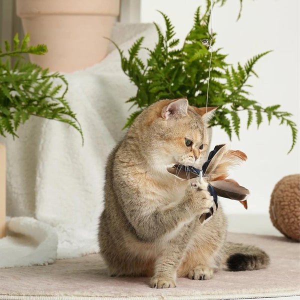 Insect Series Retractable Cat Teasing Stick | Trigger Hunting Instinct
