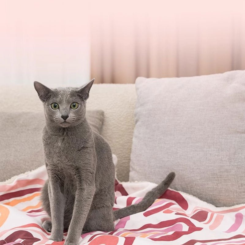 Paws Holic Pink Dream Bed Spread/Blanket - CreatureLand