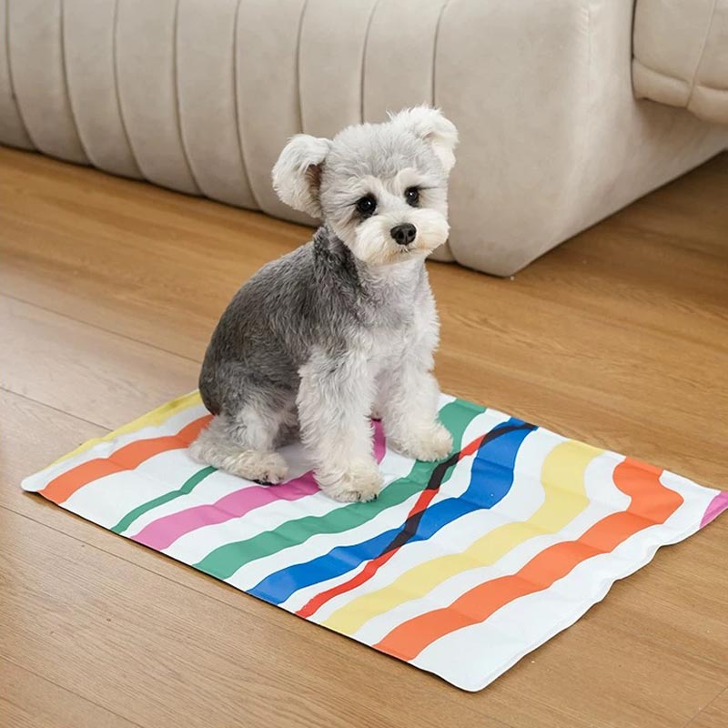 Paws Holic Rainbow Swirl Cooling Pad (2 Sizes) - CreatureLand