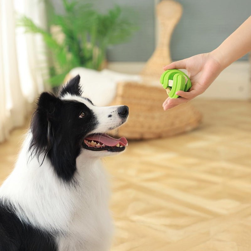 PetDreamHouse Chewtastic Geometrics Natural Rubber Enrichment Dog Toy | Geo - Gem Green - CreatureLand