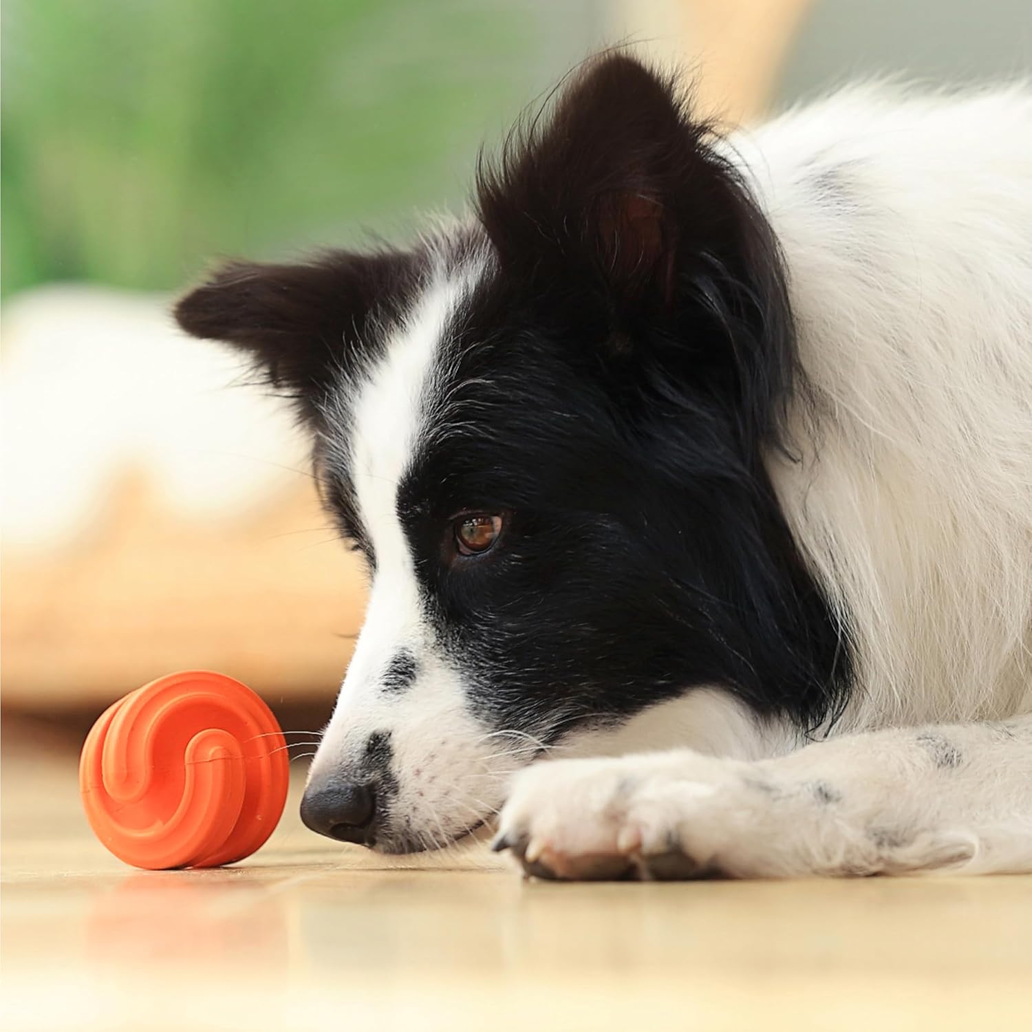 PetDreamHouse Chewtastic Geometrics Natural Rubber Enrichment Dog Toy | Geo - Hex Blue (Gentle) - CreatureLand