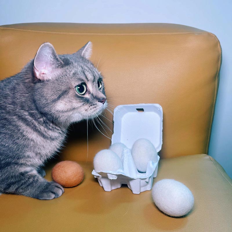 Pokepet Egg Crate Catnip Toy - CreatureLand