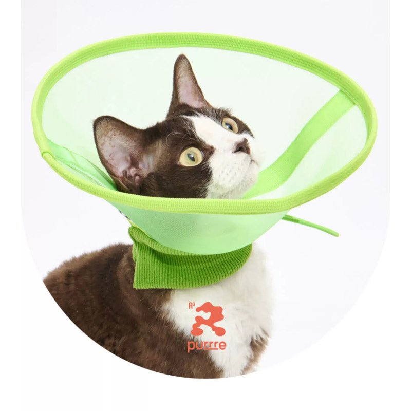 Purrre Airy Elizabethan Collar (2 Colours) - CreatureLand