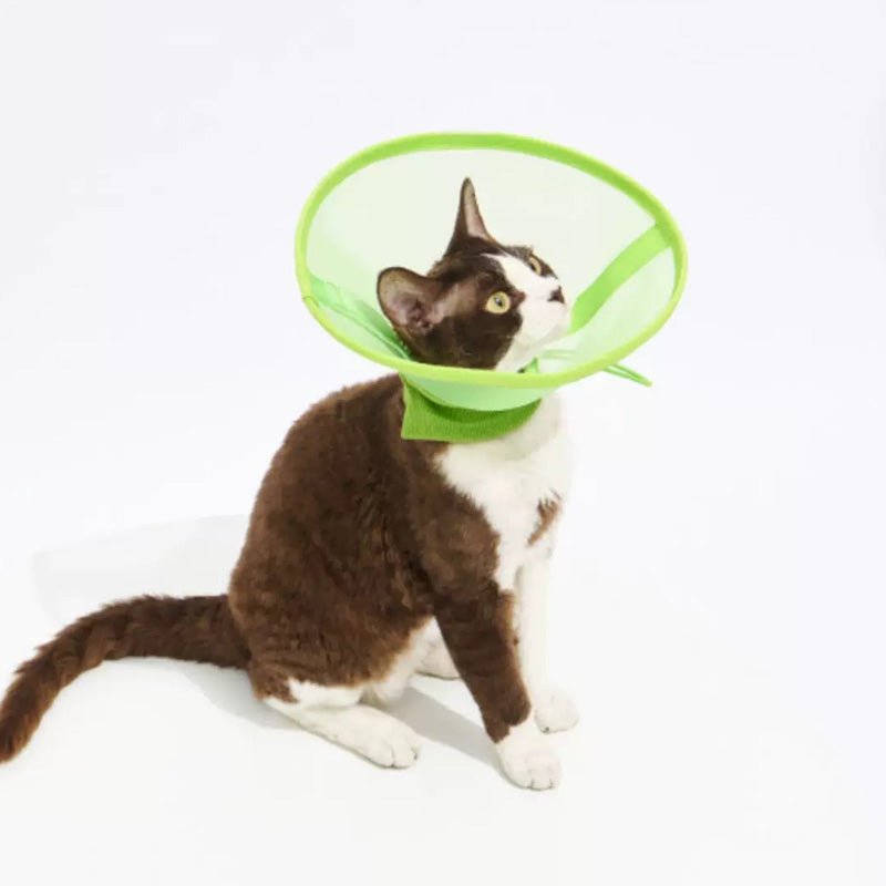 Purrre Airy Elizabethan Collar (2 Colours) - CreatureLand