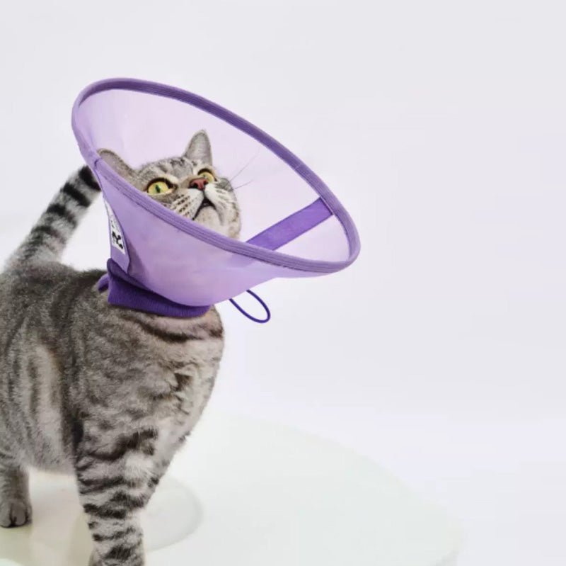 Purrre Airy Elizabethan Collar (2 Colours) - CreatureLand