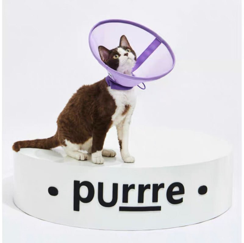 Purrre Airy Elizabethan Collar (2 Colours) - CreatureLand