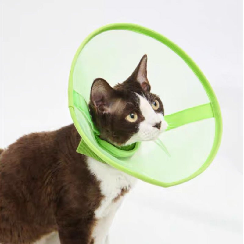 Purrre Airy Elizabethan Collar (2 Colours) - CreatureLand