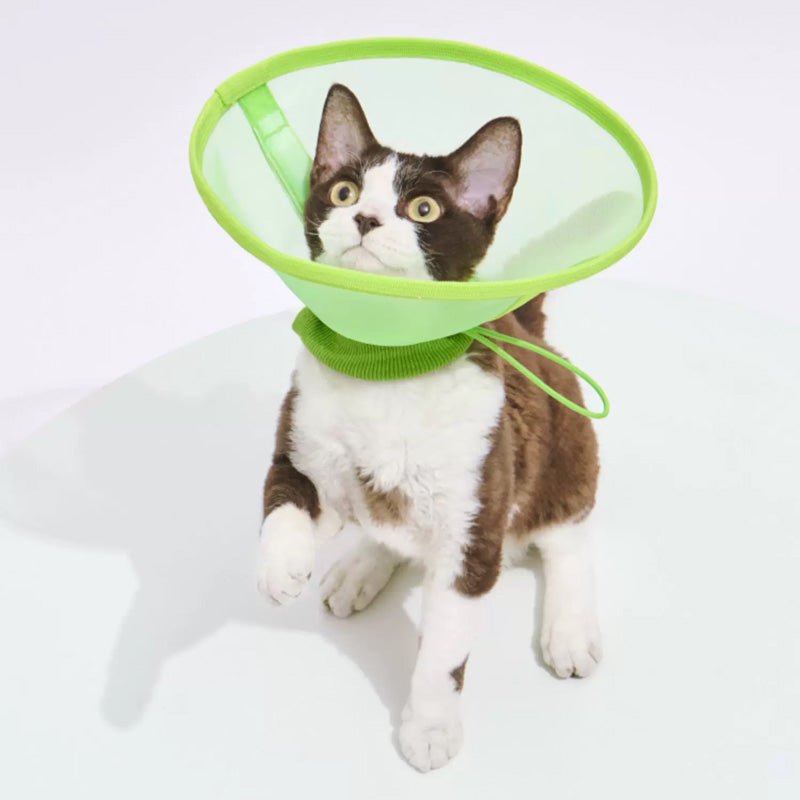 Purrre Airy Elizabethan Collar (2 Colours) - CreatureLand