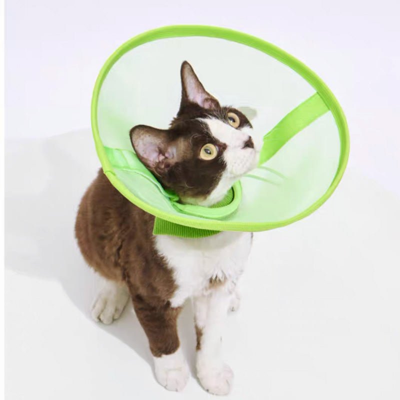 Purrre Airy Elizabethan Collar (2 Colours) - CreatureLand