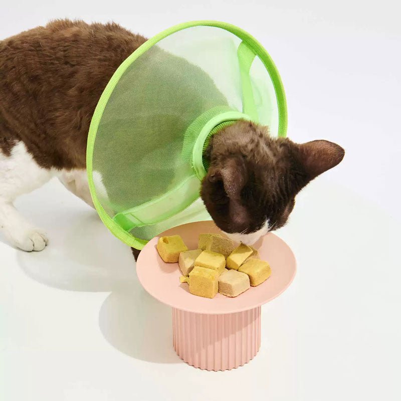 Purrre Airy Elizabethan Collar (2 Colours) - CreatureLand