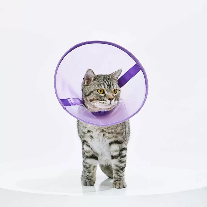 Purrre Airy Elizabethan Collar (2 Colours) - CreatureLand