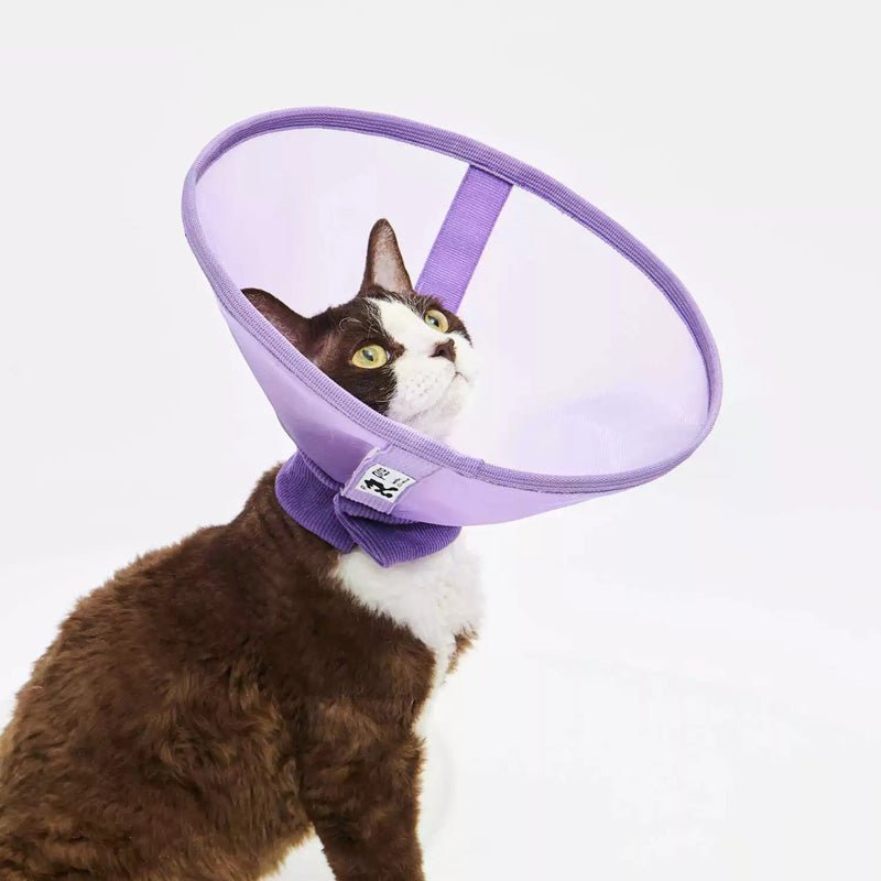 Purrre Airy Elizabethan Collar (2 Colours) - CreatureLand