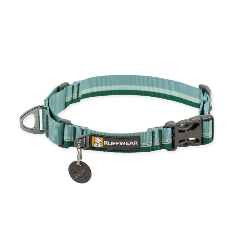 Web Reaction™ Reflective Martingale Dog Collar With Buckle (3 Colours)
