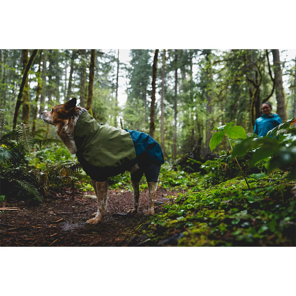 Sun Shower™ Coverall Dog Rain Suit