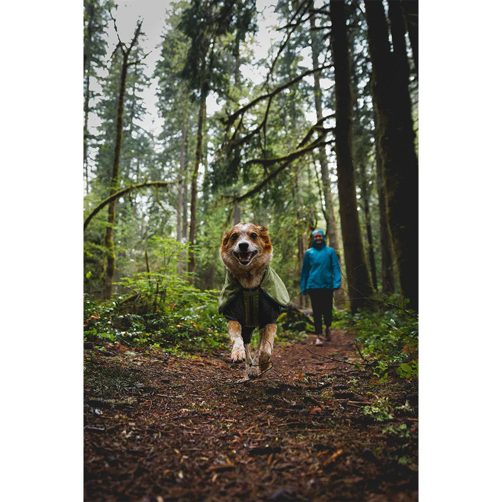 Sun Shower™ Coverall Dog Rain Suit