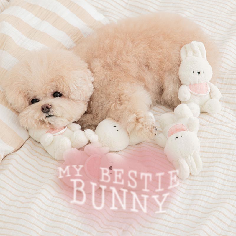 SSFW Bestie Bunny Dog Toy - CreatureLand