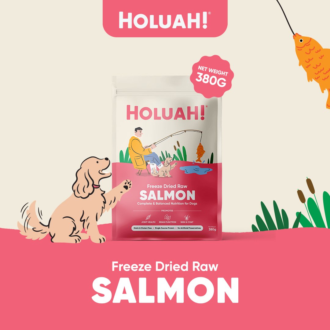 Save Extra 5% Off | Holuah! Freeze Dried Dog Food Bundle