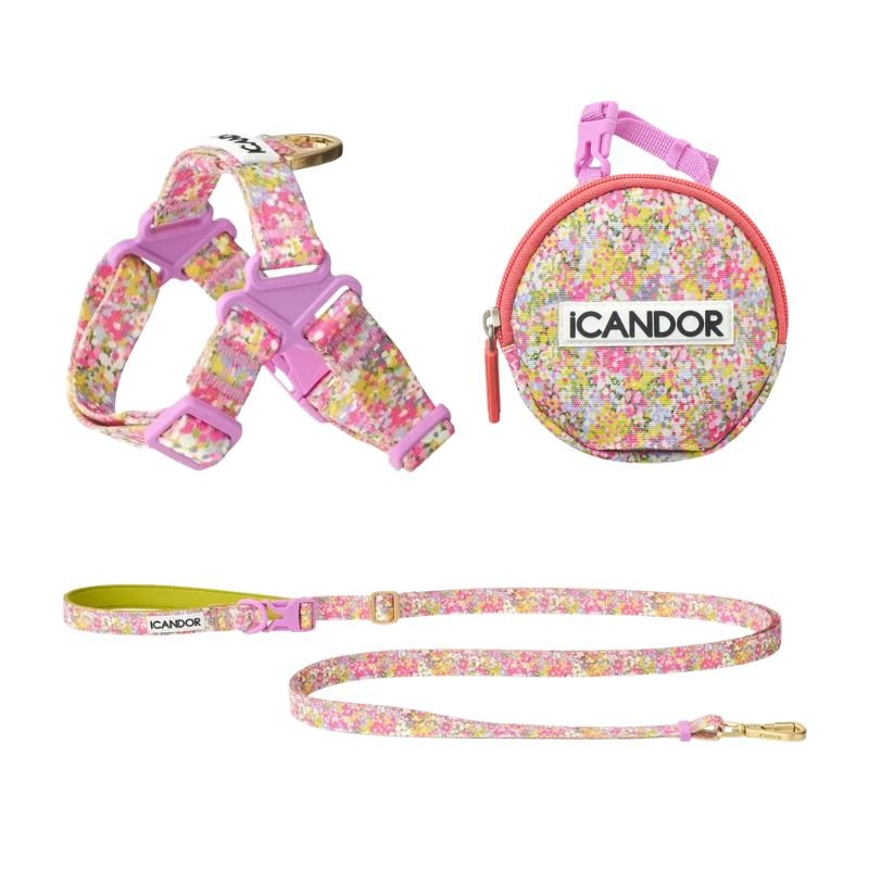 iCandor 3-in-1 Walking Kit: Flora