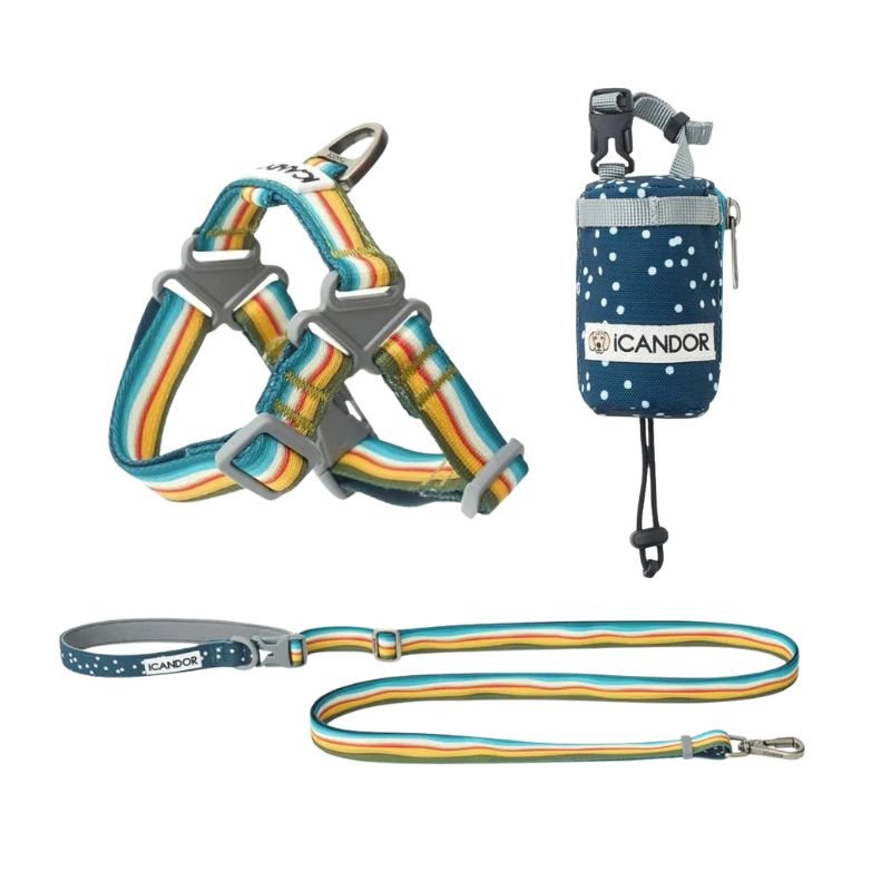 iCandor 3-in-1 Walking Kit: Ripple