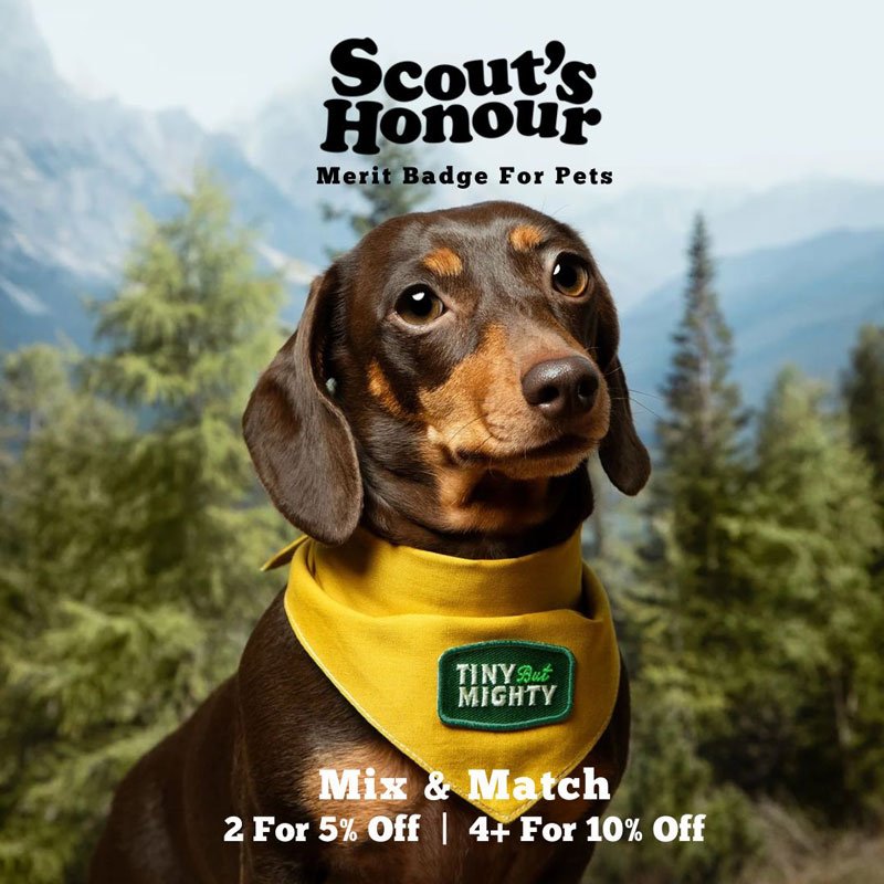 Mix & Match | Scout's Honour Iron-On Patch