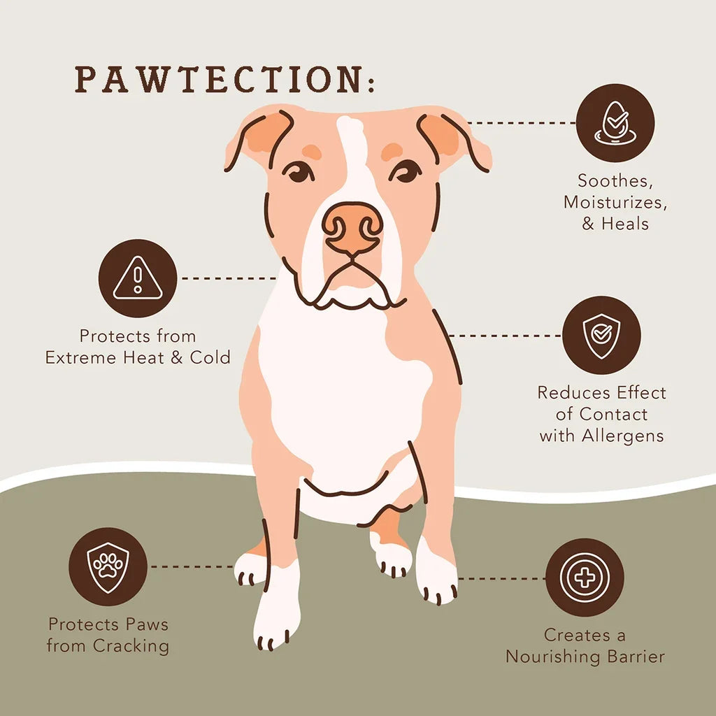 Natural Dog Company | Travel Set Balm