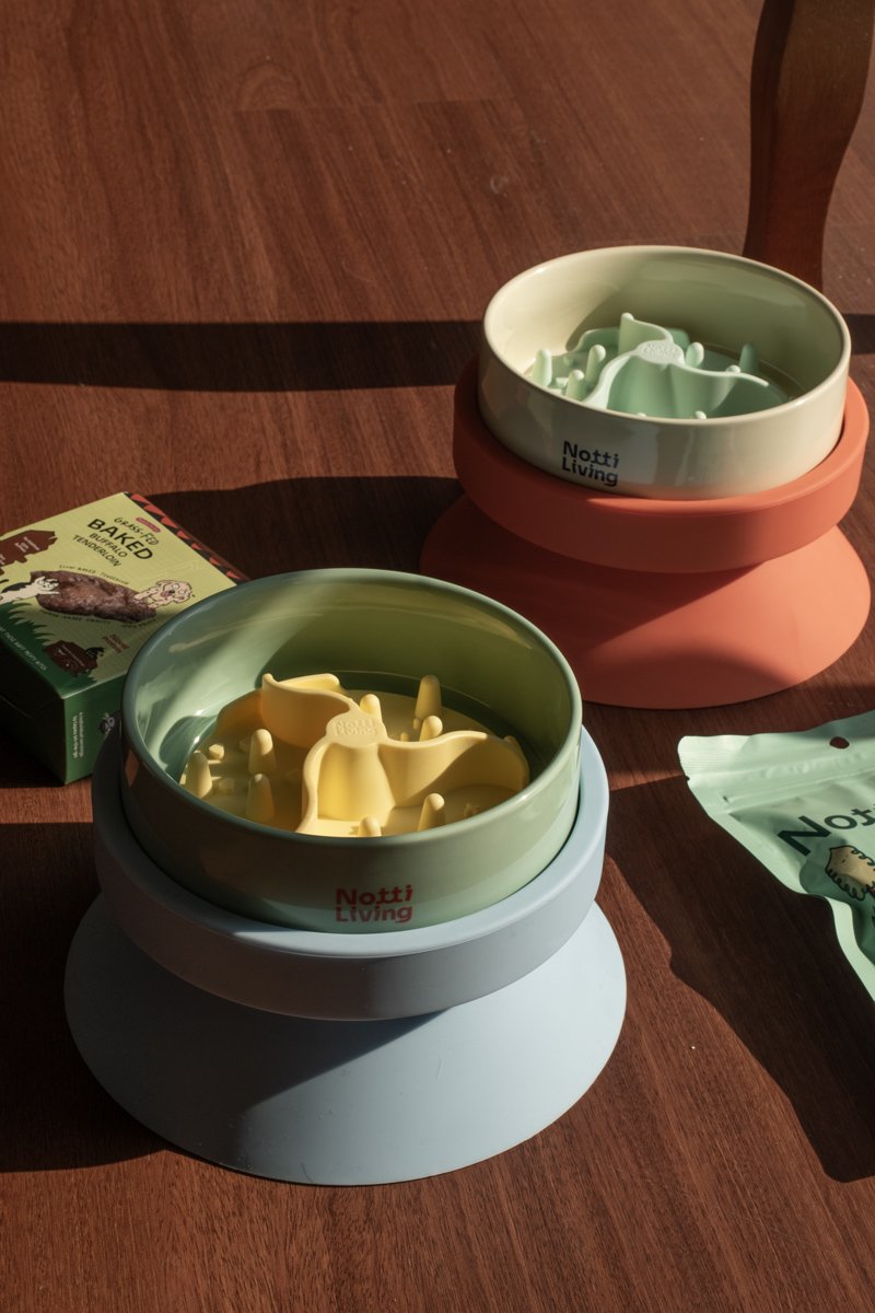 Notti Living 001 Mealtime Feeder Set
