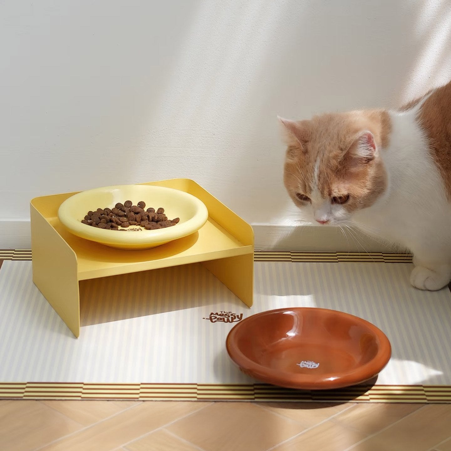 The Messy Paws | 5% Off Pet Feeding Essentials 3-in-1 Bundle