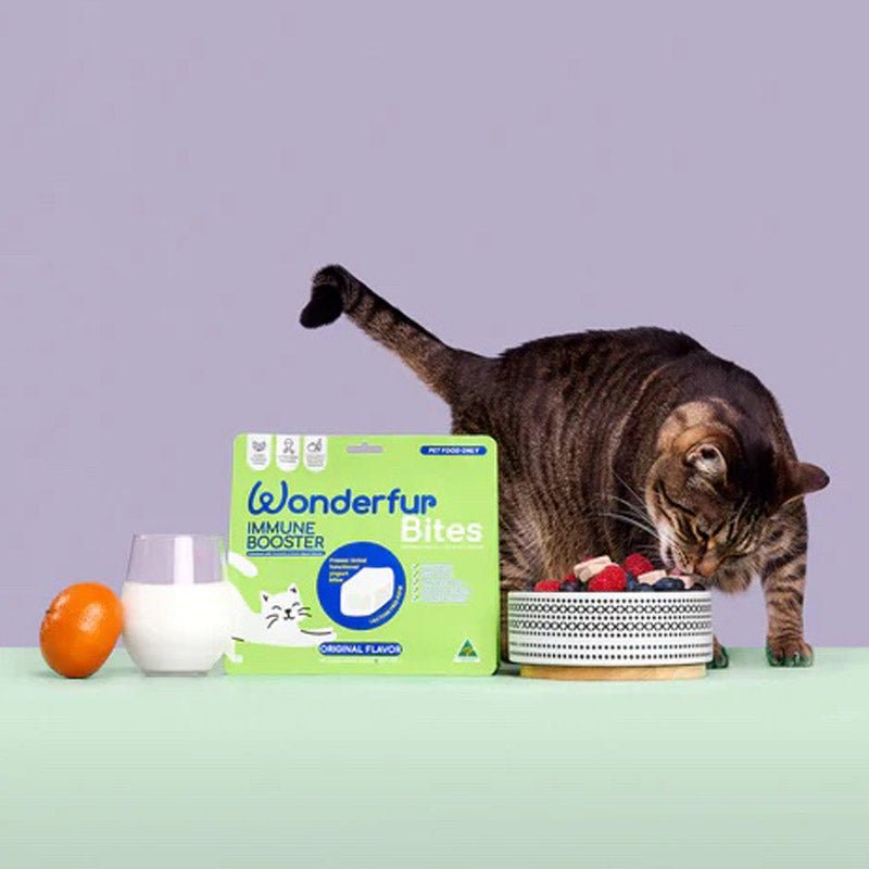 The Wonderfur Company Immune Booster Yogurt Bites for Cats - CreatureLand